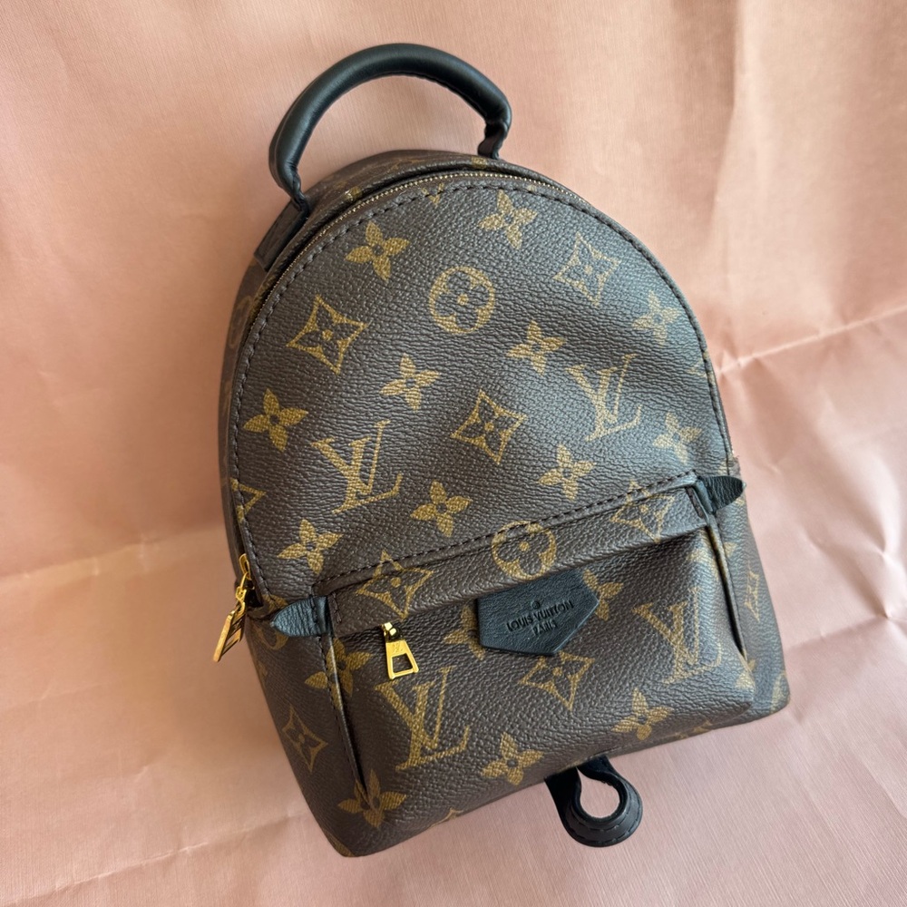 Louis Vuitton Palm Springs Mini